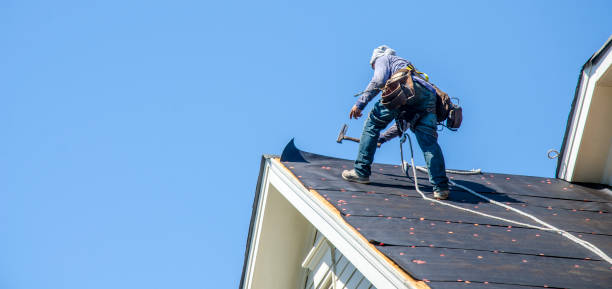 Best Roof Gutter Cleaning  in Lden, MA